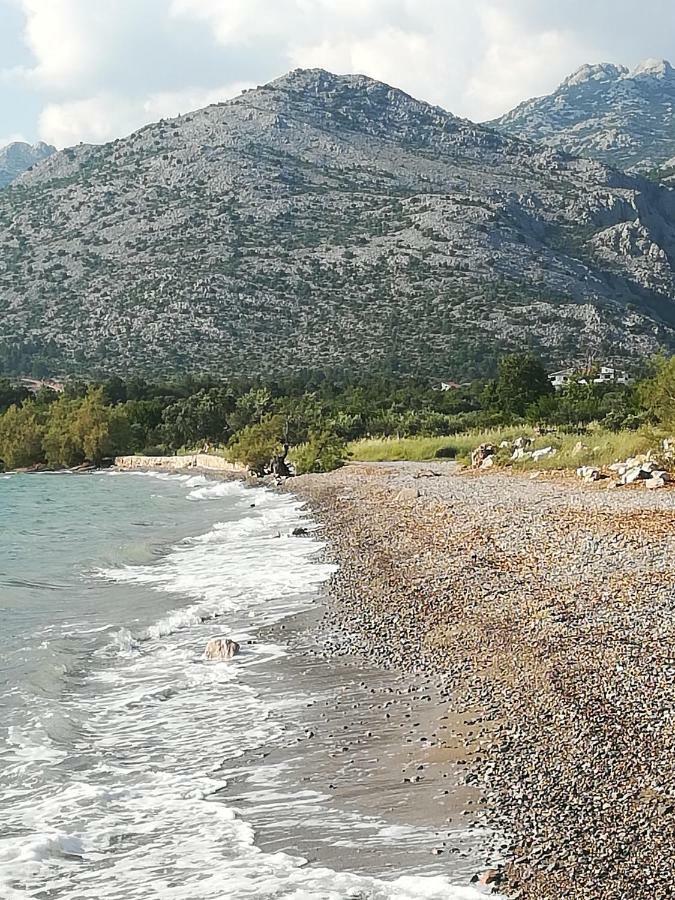 Apartments Veni Up Starigrad Paklenica Exterior foto
